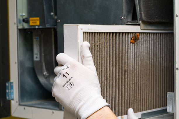 Air Duct Mold Removal in Samsula Spruce Creek, FL